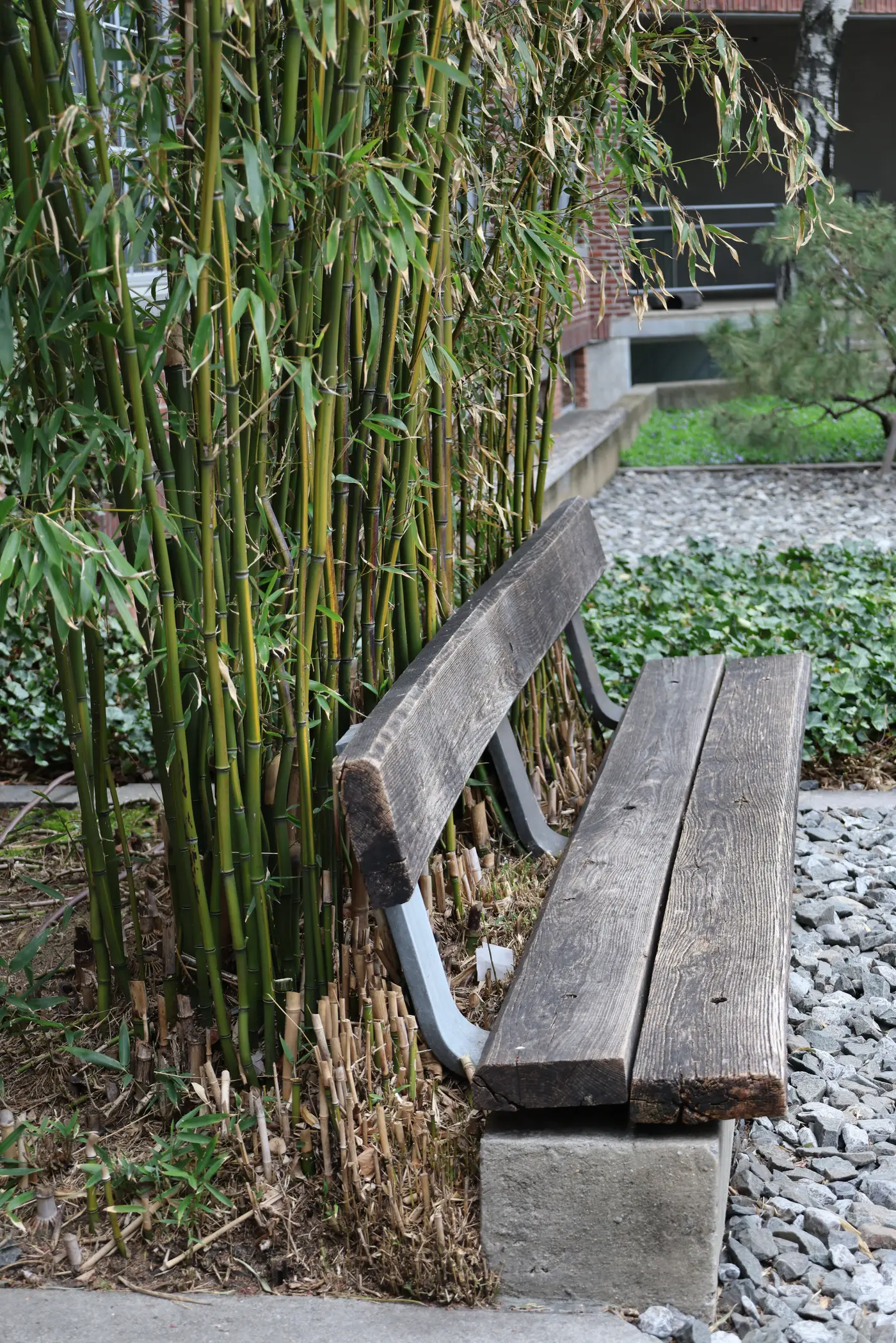 Noguchi Museum, 2026